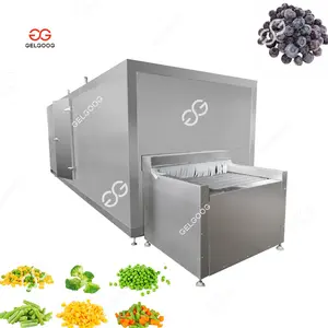 Gelgoog Venda quente Blast Freezer Crioogênico Congelamento de alimentos Preservação de frutas vegetais Equipamento IQF