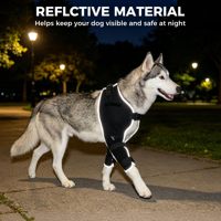 Attelle de coude pour chien de sport, motif uni, pour le soutien du hygrome, 4 pièces, gel chaud/froid, soulagement de l'arthrite, récupération post-chirurgicale