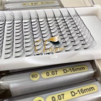 2D 3D 4D 5D 6D 7D Tige courte 0.07 Ventilateurs d'extension de cils Premade Volume Fan Lashes Heat Bonded Eyelash Extensions