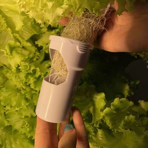 Macchina Digitale per Coltivazione Idroponica di Verdure, Moderna, in Plastica Ecologica, Coltivazione Senza Suolo per Uso Domestico in <span class=keywords><strong>Cucina</strong></span>, Controllo Remoto WiFi - Product Image 4