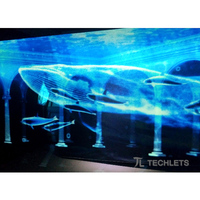 Technologie d'écran holographique 3D flottant dans l'air ou autour d'un artiste sur scène pour les événements en direct