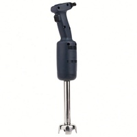 Mixeur plongeant professionnel en acier inoxydable 500W électrique avec 20 réglages de vitesse pour usage hôtelier