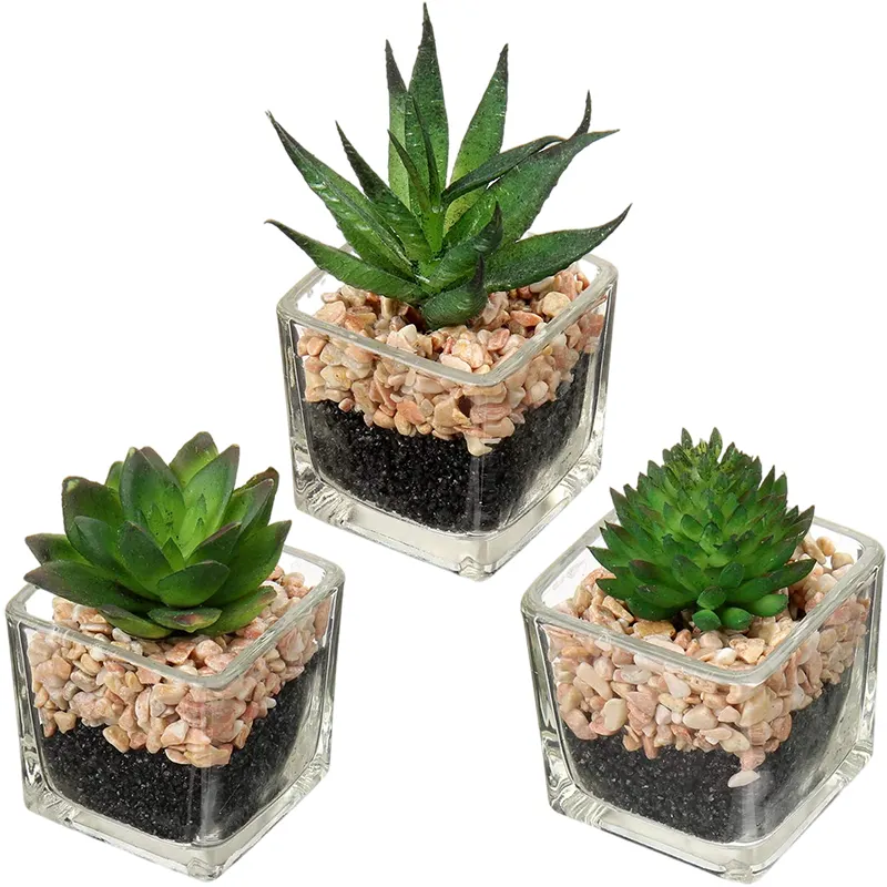 Artificial Small Plants Succulents Plants Home Decoration Artificial Succulent Plants With Glass Pot