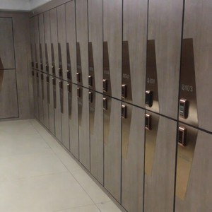 จัดส่งรวดเร็วและตู้ล็อกเกอร์ที่ใช้งานง่าย พร้อมกุญแจล็อกและตู้ล็อกเกอร์ที่สามารถล็อกได้ สำหรับโรงเรียนและสำนักงาน - Product Image 2