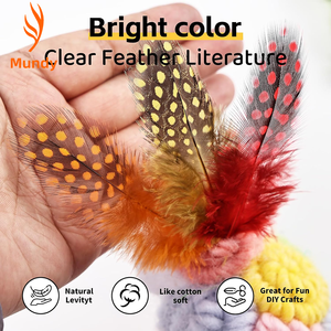 100 Plumas <span class=keywords><strong>de</strong></span> Gallina <span class=keywords><strong>de</strong></span> <span class=keywords><strong>Guinea</strong></span> Teñidas <span class=keywords><strong>de</strong></span> 1-3 Pulgadas, Coloridas, Personalizadas, <span class=keywords><strong>de</strong></span> Excelente Calidad y Precio Razonable, <span class=keywords><strong>de</strong></span> Feather Factory, en <span class=keywords><strong>Venta</strong></span> - Product Image 2