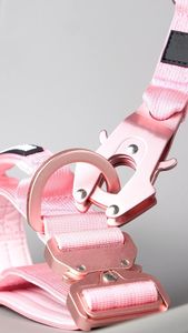 Taktisches Hundehalsband aus Leichtem Flugzeugaluminium mit Metallschnalle und Schnellverschluss, Kampfhundehalsband mit Griff, Geringe Mindestbestellmenge - Product Image 5