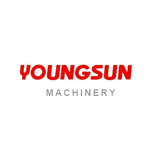 Wenzhou Youngsun Intelligent Equipment Co., Ltd. logo