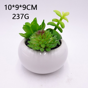 Petites Fausses <span class=keywords><strong>Plantes</strong></span> Succulentes Artificielles <span class=keywords><strong>Plantes</strong></span> en Pots Chambre Chambre Bureau Étagère <span class=keywords><strong>Salle</strong></span> <span class=keywords><strong>de</strong></span> <span class=keywords><strong>Bain</strong></span> Décor Mini Cactus en Plastique - Product Image 3
