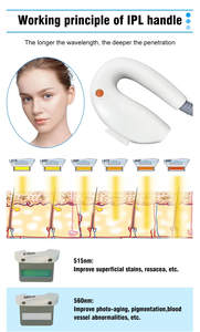 Macchina di Bellezza da Tavolo S.W per Rimozione Pigmenti, Rassodamento della Pelle, Depilazione con 2 Manipoli, Attrezzatura Estetica per Uso Domestico - Product Image 3