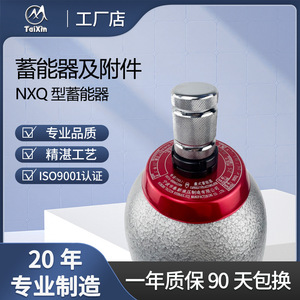 Acumulador de Cápsulas TaiXin NXQ, Equipo Hidráulico de Almacenamiento de Nitrógeno - Product Image 1