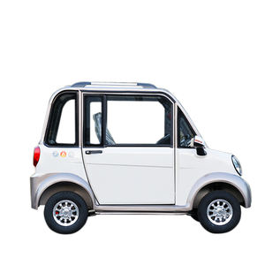 Véhicules électriques à énergie électrique, voiture électrique à quatre roues, pick-up, propulsion simple, batterie au plomb-acide, haute qualité, personnalisation d'usine, conduite à gauche - Product Image 3