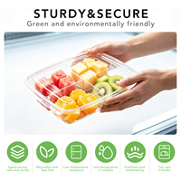Wegwerp transparante PET fruitverpakking met klikdeksel, 4 compartimenten, voor verse gesneden fruitsalade, groothandel, food grade