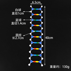 Modelo de estructura de doble hélice del ADN, material genético y variación, instrumentos de enseñanza de biología para secundaria y experimentos. - Product Image 1