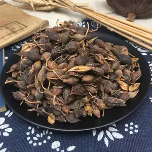 ขายส่ง Lian Qiao จํานวนมากขายสมุนไพรจีนแห้ง Forsythia Suspensa ผลไม้