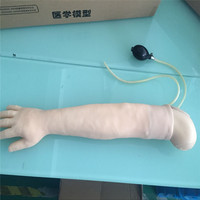 Modèle d'entraînement ADA HS5 grandeur nature entièrement automatique en PVC pour ponction artérielle et injection intramusculaire, artères radiales/ulnaires