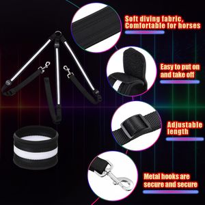 Conjunto de Arnés y Correa para Patas de Caballo con Luces LED, Recargable por USB, Ajustable, Equipo de Seguridad, Arnés de Caballo con Luces LED para Mayor Visibilidad y Seguridad - Product Image 3