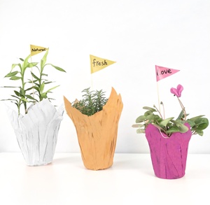 Couvre-<span class=keywords><strong>pot</strong></span> en papier imperméable pour plantes en <span class=keywords><strong>pot</strong></span>, fleurs en <span class=keywords><strong>pot</strong></span>, <span class=keywords><strong>couleur</strong></span> personnalisable - Product Image 2