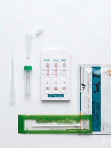 Strisce reattive diagnostiche rapide ad alta precisione per Ehrlichia canina (Ab) per uso veterinario su cani, test <span class=keywords><strong>ELISA</strong></span>. - Product Image 6
