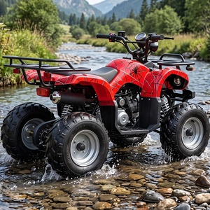 <span class=keywords><strong>Cuatrimoto</strong></span> de Servicio Pesado de 125cc, <span class=keywords><strong>ATV</strong></span> Utilitario con Capacidad de 180kg para Agricultura y Carreras - Product Image 6