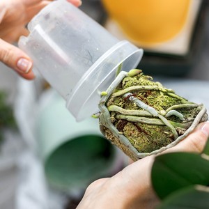 Haute qualité <span class=keywords><strong>Transparent</strong></span> fleur <span class=keywords><strong>orchidée</strong></span> Pot durabilité longévité contrôle des racines fente jardin plante Pot clair <span class=keywords><strong>orchidée</strong></span> plante Pot - Product Image 3