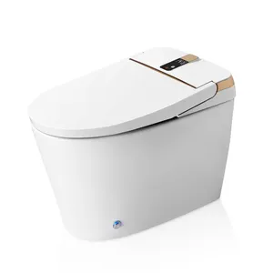 Keramische boden montierte Siphonic verdeckte Tank fernbedienung LED-Anzeige Smart Toilet