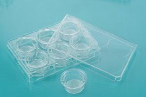 La culture cellulaire en plaque à 6 puits insère des fournitures de laboratoire à membrane PET 0,4um pour des biorythmes optimaux - Product Image 3