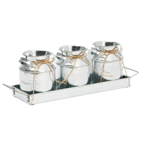 Lot de 3 jardinières à herbes en métal galvanisé pour plantes d'intérieur Pots de fleurs de ferme avec plateau