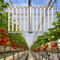 Lampe de culture LED à spectre complet, dimmable, étanche IP65, 12 barres, haute densité, pliable, 1300W, trois canaux, pour les cultivateurs en serre