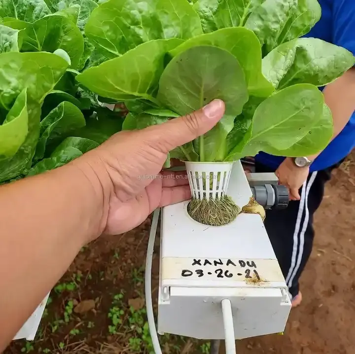 Sistem penumbuh saluran microgreen NFT hidroponik profesional untuk selada