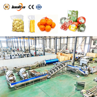 Productielijn voor gesneden aardappelen, 1000 kg/uur, inclusief aardappel schil- en snijmachine, ui sorteer- en snijmachine, lijn voor vers gesneden aardappelen
