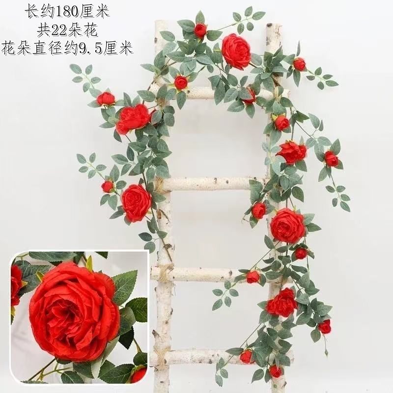 เถาวัลย์กุหลาบหวาน - สีแดง