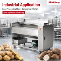 Multifunctionele fruit- en groenteborstel, reinigings-, schil- en polijstmachine 3-in-1 van roestvrij staal voor gebruik in restaurants, hotels en catering.