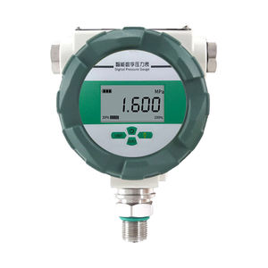 Manómetro Digital de Presión de Aire, Manómetro Digital de Presión 3/4, Manómetro Digital de Presión <span class=keywords><strong>1000</strong></span> <span class=keywords><strong>Psi</strong></span> - Product Image 6