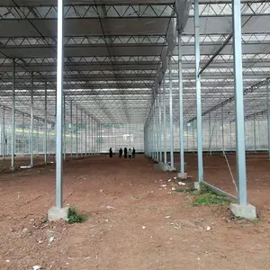 High Efficiency Large Multi-Span Glass Agricultural Greenhouse