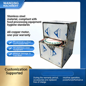 Machine à piler les Dattes, vente directe, date automatique professionnelle et pilon de fruits, pilon de pommes - Product Image 2