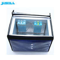 4L Isotherme Fiole D'insuline Refroidisseur Boîte Avec PCM Briques De Glace