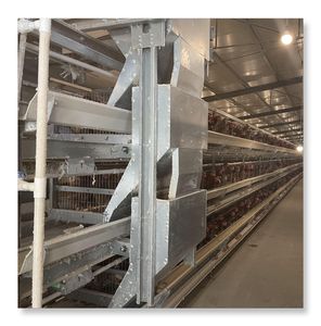 อุปกรณ์ฟาร์มสัตว์ปีกอัตโนมัติ  กรงเลี้ยงไก่ไข่แบบ H  กรงเลี้ยงไก่ไข่แบบแบตเตอรี่สำหรับอุตสาหกรรม  มีจำหน่าย - Product Image 5