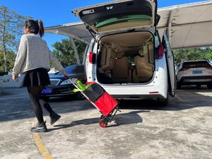 Chariot à main pliable pour bagages et marchandises en acier d'aluminium FW-90SE SHUNHE, 60 kg, empilable, avec sac de <span class=keywords><strong>shopping</strong></span>, vente chaude - Product Image 6