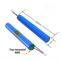 Batterie au lithium rechargeable personnalisée 3,7 V 7,4 V, pack de batteries Li-ion pour équipement médical portable, moniteur patient, pompe à perfusion