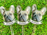 Bâtonnets mélangeurs personnalisés en acrylique avec visage de chien ou de chat, lettres nominatives pour mariage, fête prénatale, cocktail et anniversaire