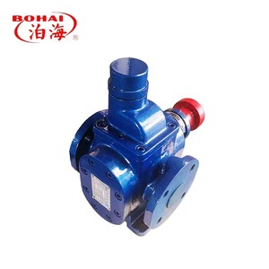 Pompe à engrenages rotative à faible bruit série YCB, entraînée par moteur, pour le transfert de biocarburant et d'huile biologique avec dispositif de sécurité - Product Image 2