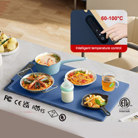 Tapis de table portable alimenté par USB pour la maison, planche à découper pliable, plaque chauffante solide avec élément chauffant en spirale pour les repas