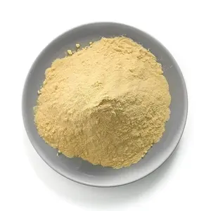 Provide High Quality Research Reagent Yeast Extract Powder Cas 8013-01-2
