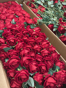 LO-031 Fond floral Roses en velours artificiel Centres de table pour <span class=keywords><strong>mariage</strong></span> Décorations de table Fleurs artificielles bon marché Vente en gros - Product Image 3