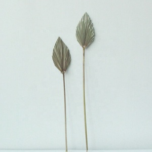 Feuilles <span class=keywords><strong>de</strong></span> palmier séchées naturelles A-3170, feuilles décoratives séchées pour mariage - Product Image 6