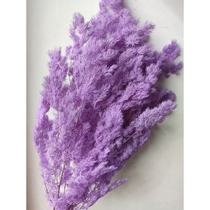 Fermoirs séchés en parapente couleur blanche, 1 pièce, vente en gros d'usine - Product Image 3