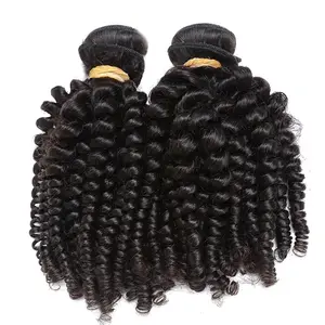 Wholesale Brazilian Hair European and American Fashion Wigs Afro Funmi Curly Hair Bundles Small Curly Hair