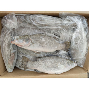 Poisson de ferme chinois, barra, calcarifer, 400-600g, 600-800g, poisson barramundi frais congelé - Product Image 4