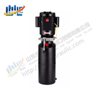 Petit groupe hydraulique portable personnalisé de 12 volts packs système hydraulique de station