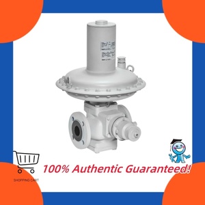 Régulateur industriel Itron RB4000 pour le contrôle en usine des stations de régulation - Product Image 4